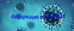 koronavirus2
